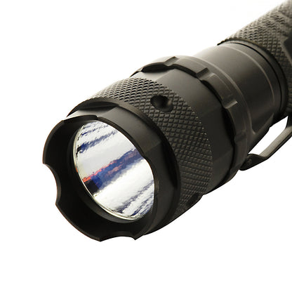 Flashlight P4